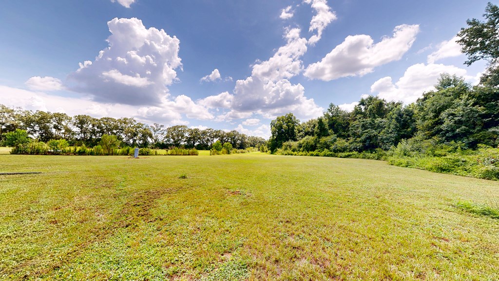 847 Peach Farm Road Ashford, AL 36312 - Photo 37 of 42 Gallery Image 37