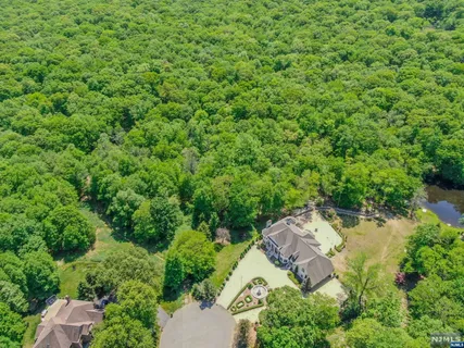 a view of a green field with lots of bushes