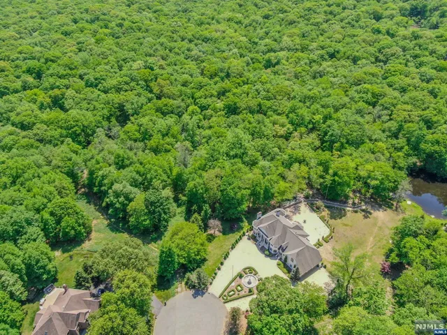 a view of a green field with lots of bushes
