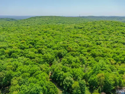 an aerial view of residential houses with outdoor space and trees all around