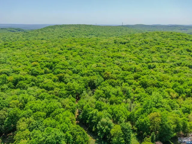 an aerial view of residential houses with outdoor space and trees all around