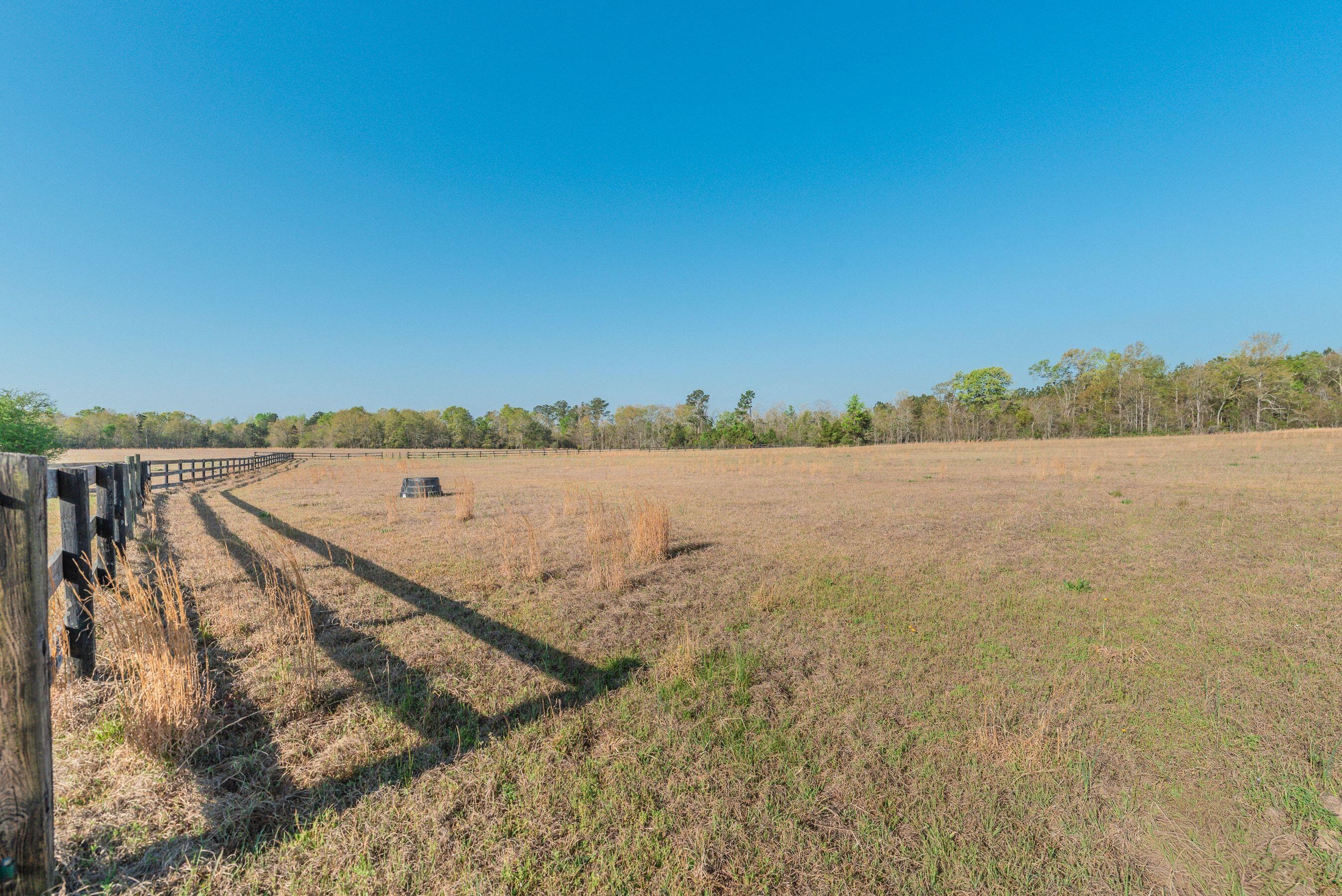 252 Moseley Road Williston, SC 29853 - Photo 51 of 64