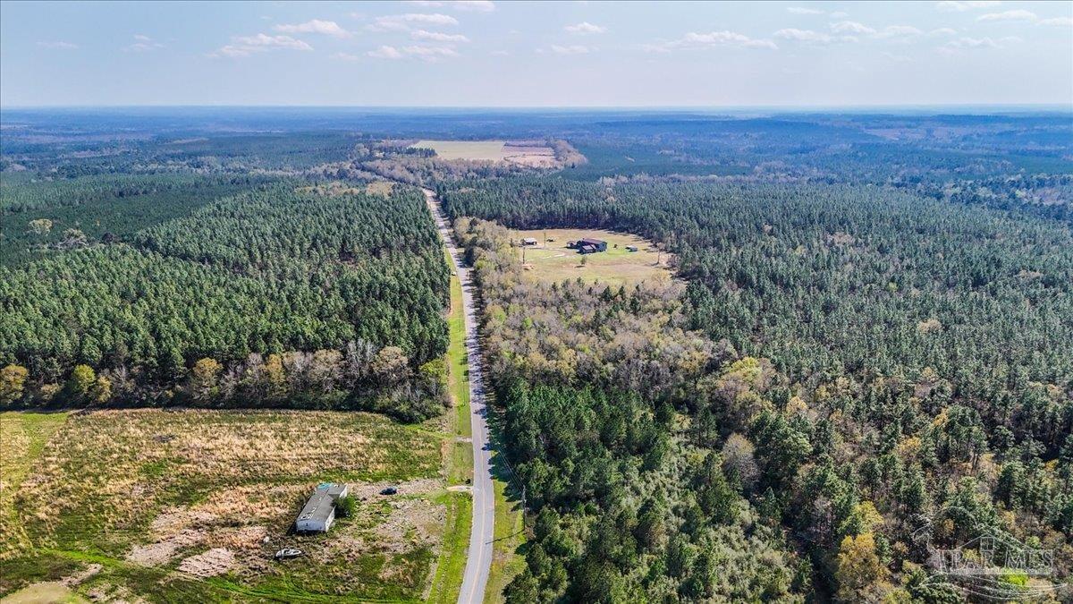 3351 Velor Road McDavid, FL 32568 - Photo 63 of 70