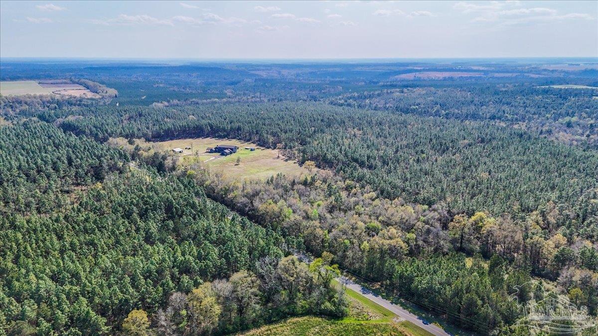 3351 Velor Road McDavid, FL 32568 - Photo 64 of 70