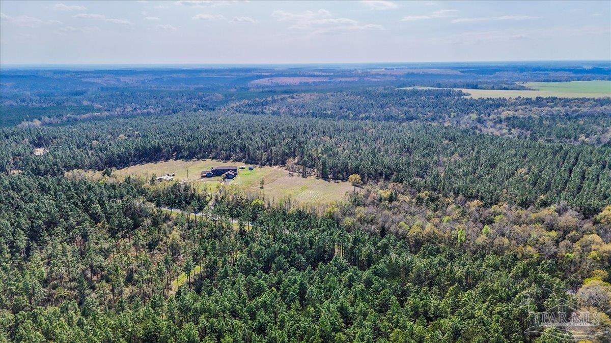 3351 Velor Road McDavid, FL 32568 - Photo 65 of 70