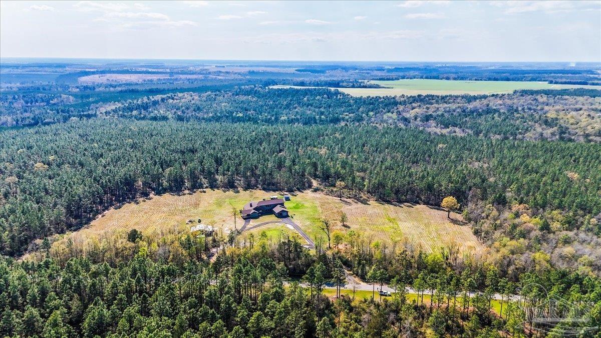 3351 Velor Road McDavid, FL 32568 - Photo 66 of 70