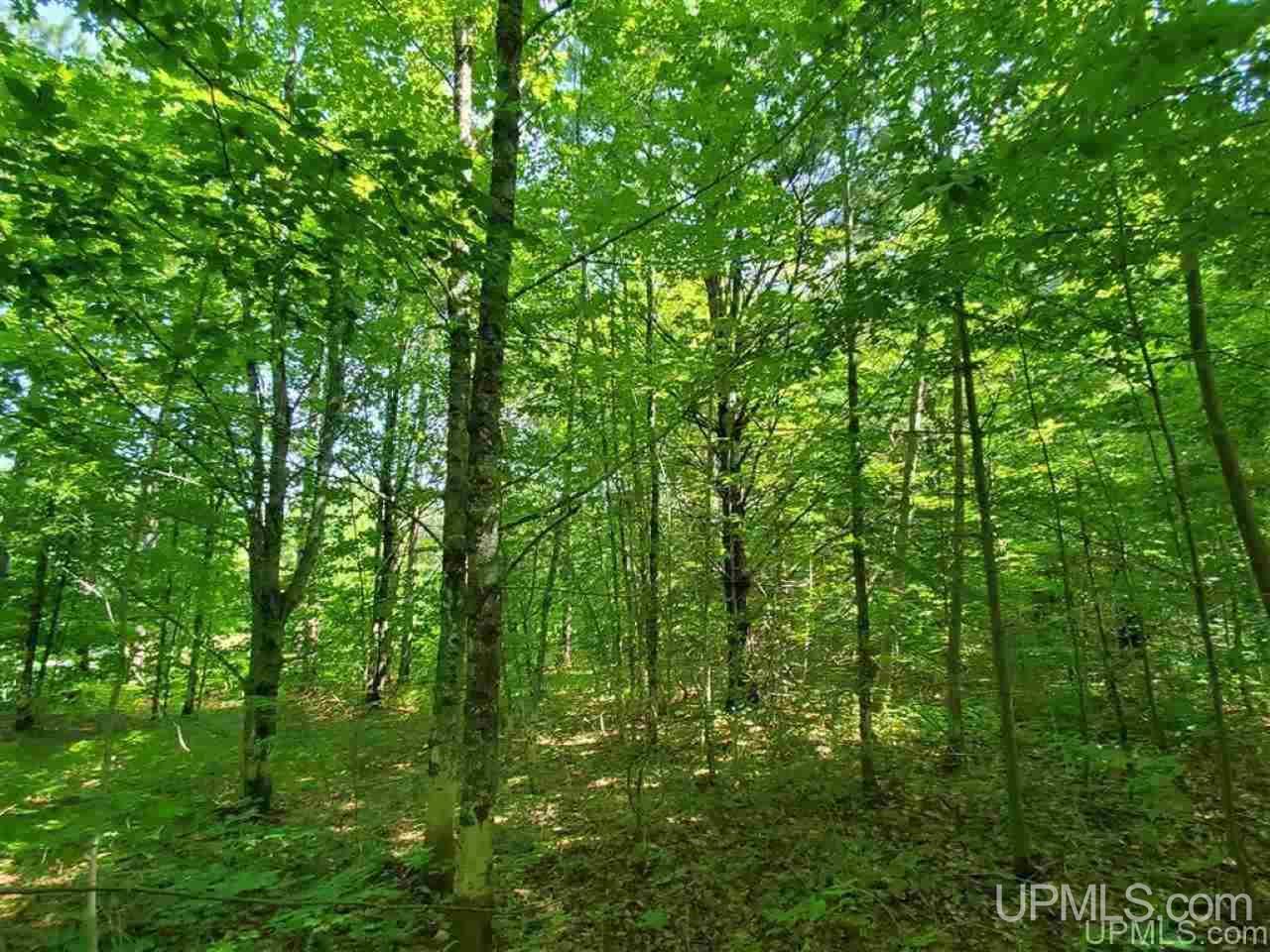 Tbd No 2-3 4 Obenhoff Road Atlantic Mine, MI 49905 - Photo 2 of 32