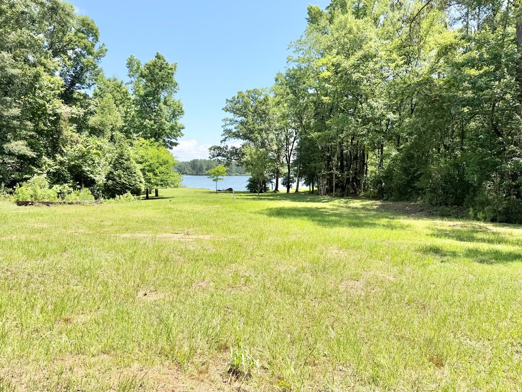 97 County Road 97 Abbeville, AL 36310 - Photo 7 of 15