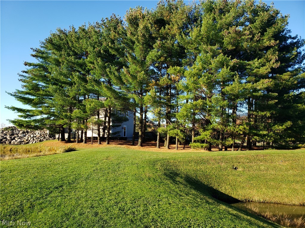 11297 Bean Road Chardon, OH 44024 - Photo 19 of 35 Pines behind the home