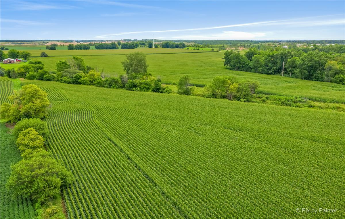 S790 Rowe Road Elburn, IL 60119 - Photo 13 of 23 a view of an ocean from a yard