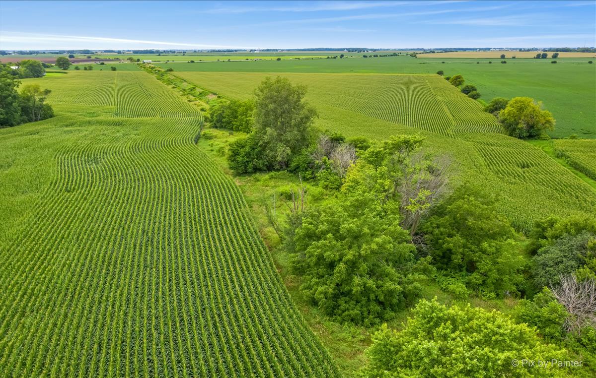 S790 Rowe Road Elburn, IL 60119 - Photo 14 of 23 a view of an outdoor space with a lake view