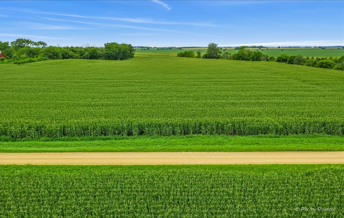 S790 Rowe Road Elburn, IL 60119 - Photo 22 of 23 a view of a green field with an trees