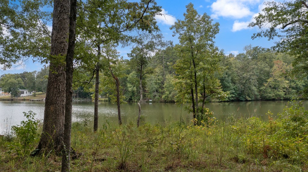106 Long Point Road Hodges, SC 29653 - Photo 6 of 14