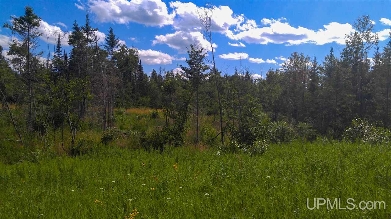 3147 West Maple Ridge 37 Road Rock, MI 49880 - Photo 26 of 28