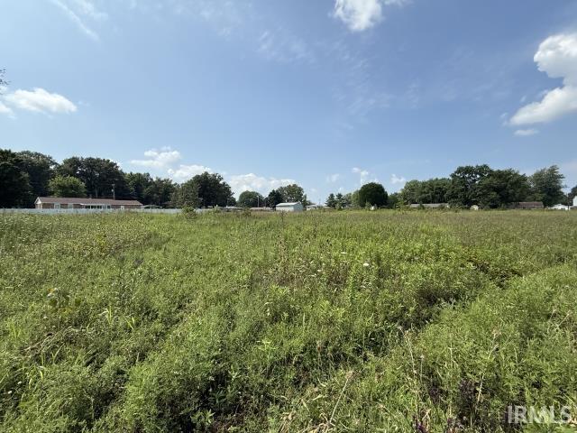 0 West Hessler Muncie, IN 47305 - Photo 2 of 8