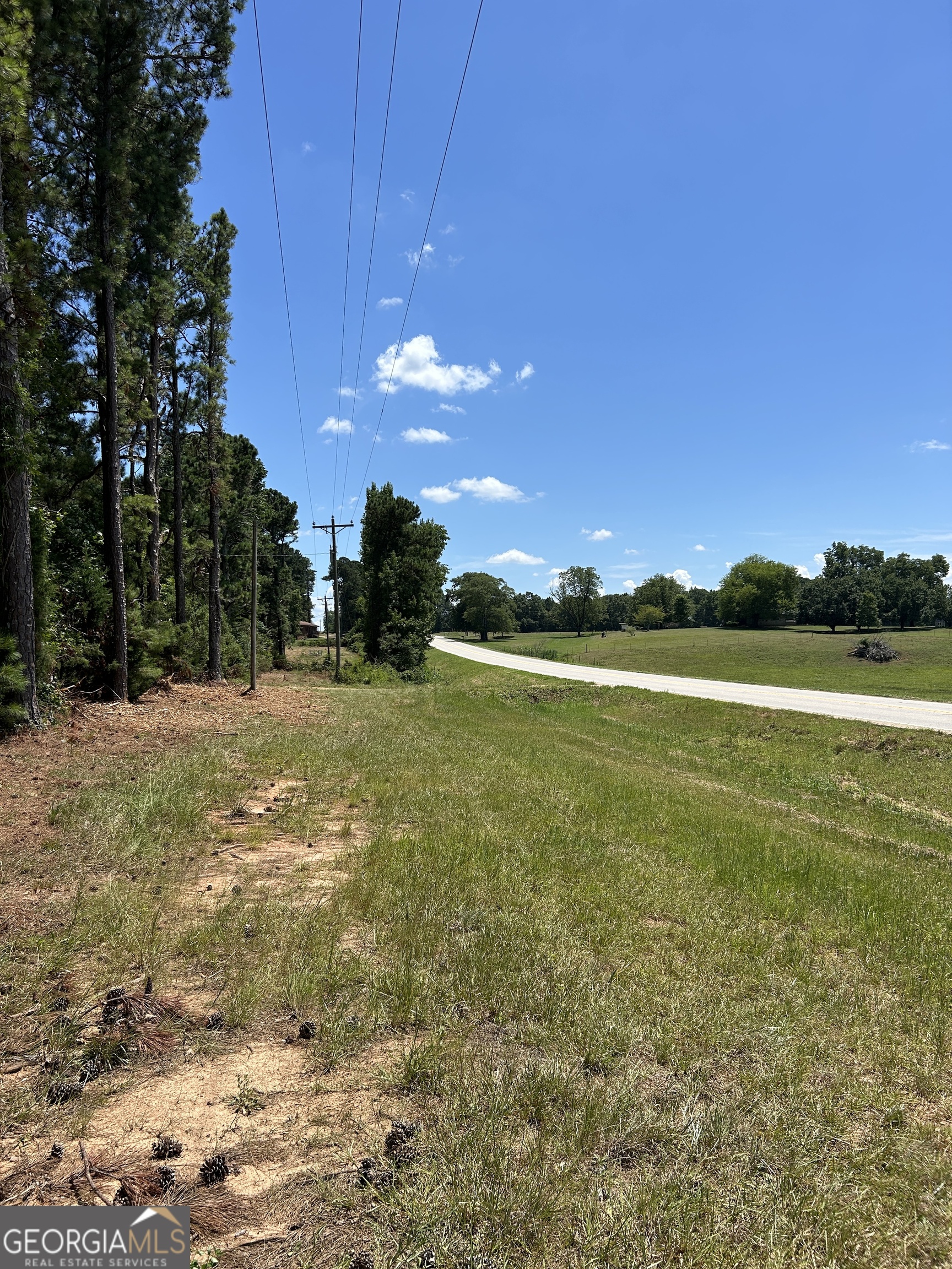 6556 Elberton Road Tignall, GA 30668 - Photo 28 of 68