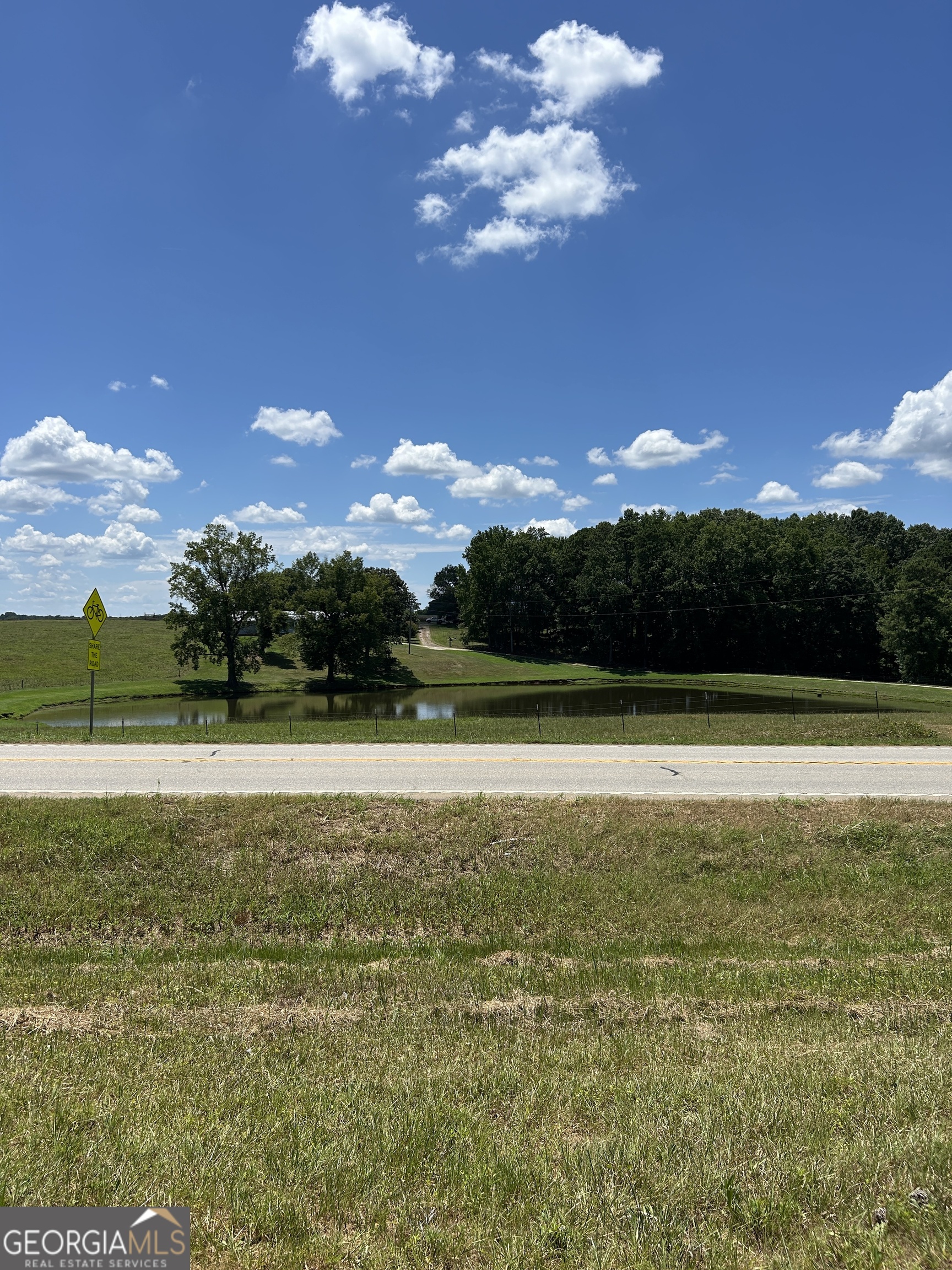 6556 Elberton Road Tignall, GA 30668 - Photo 30 of 68