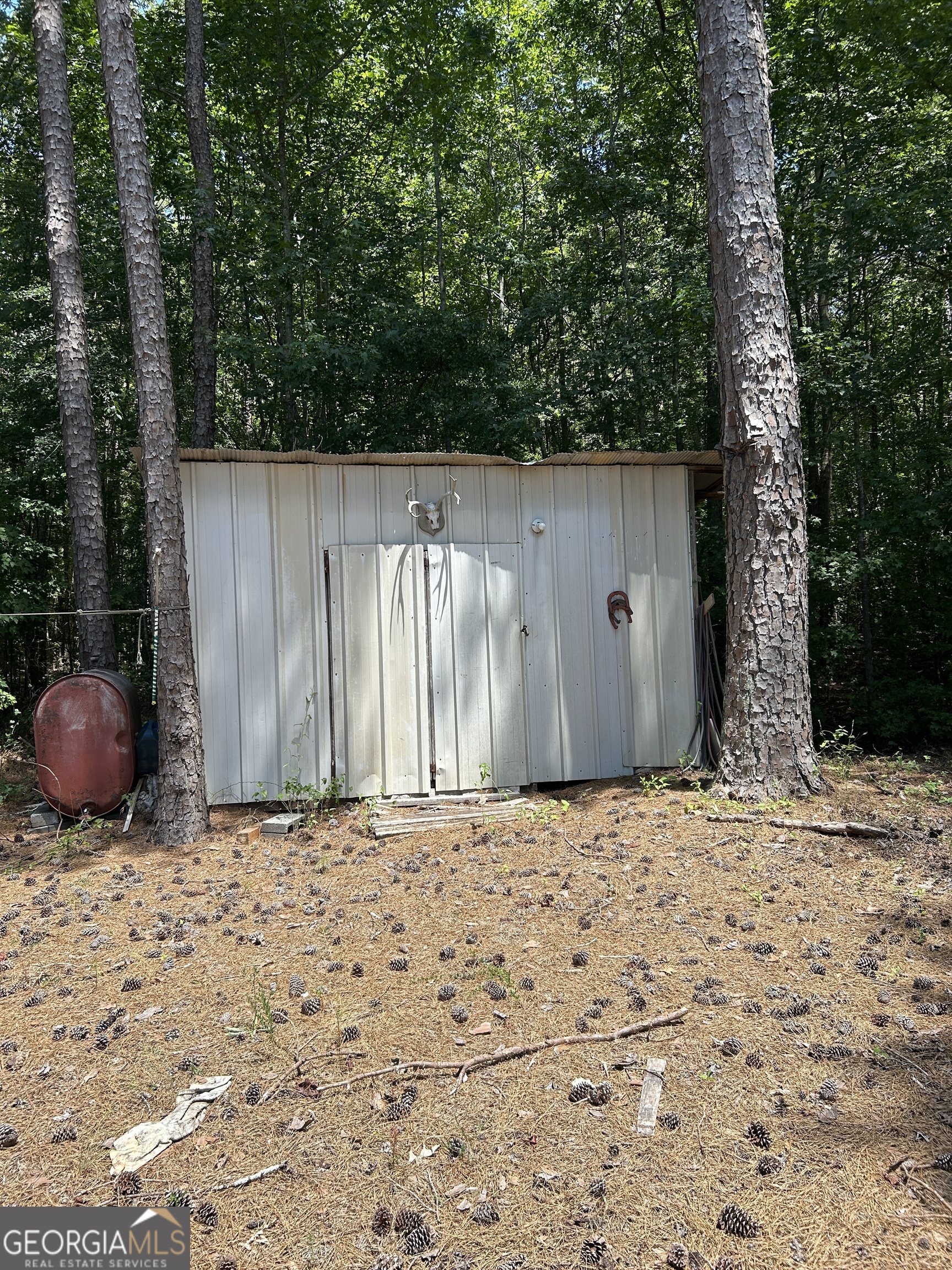 6556 Elberton Road Tignall, GA 30668 - Photo 3 of 68