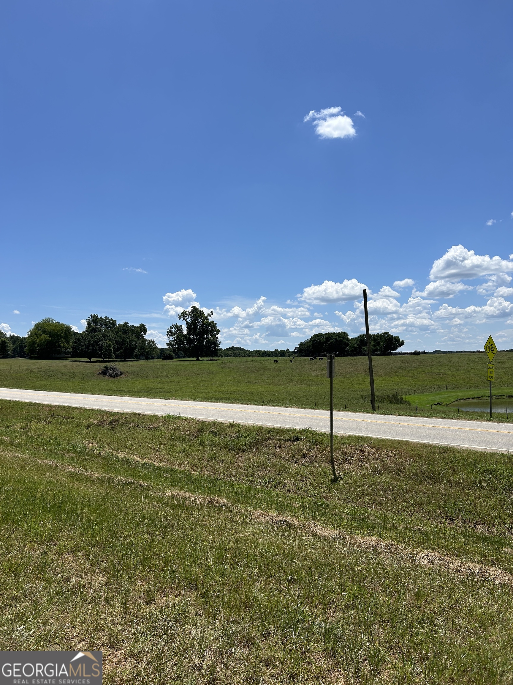 6556 Elberton Road Tignall, GA 30668 - Photo 31 of 68