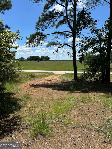 $200,000 | 6556 Elberton Road, Tignall, GA 30668