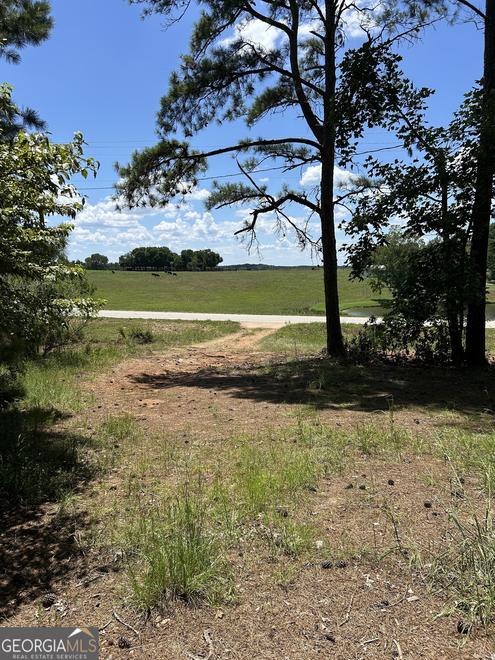 6556 Elberton Road Tignall, GA 30668 - Photo 35 of 68