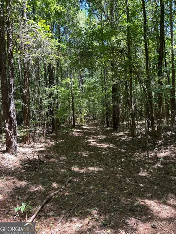 $200,000 | 6556 Elberton Road, Tignall, GA 30668