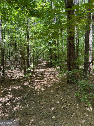 $200,000 | 6556 Elberton Road, Tignall, GA 30668