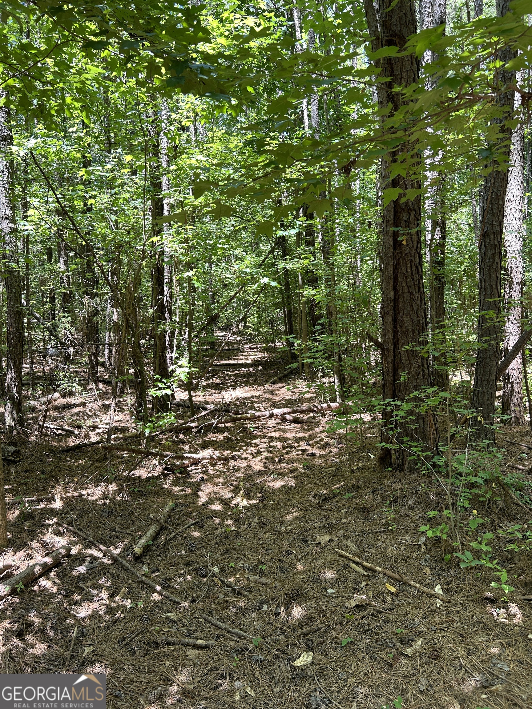 6556 Elberton Road Tignall, GA 30668 - Photo 37 of 68