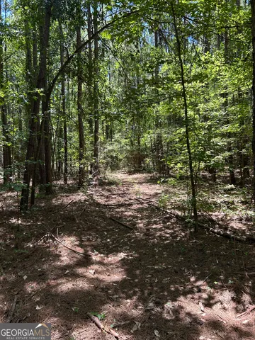 $200,000 | 6556 Elberton Road, Tignall, GA 30668