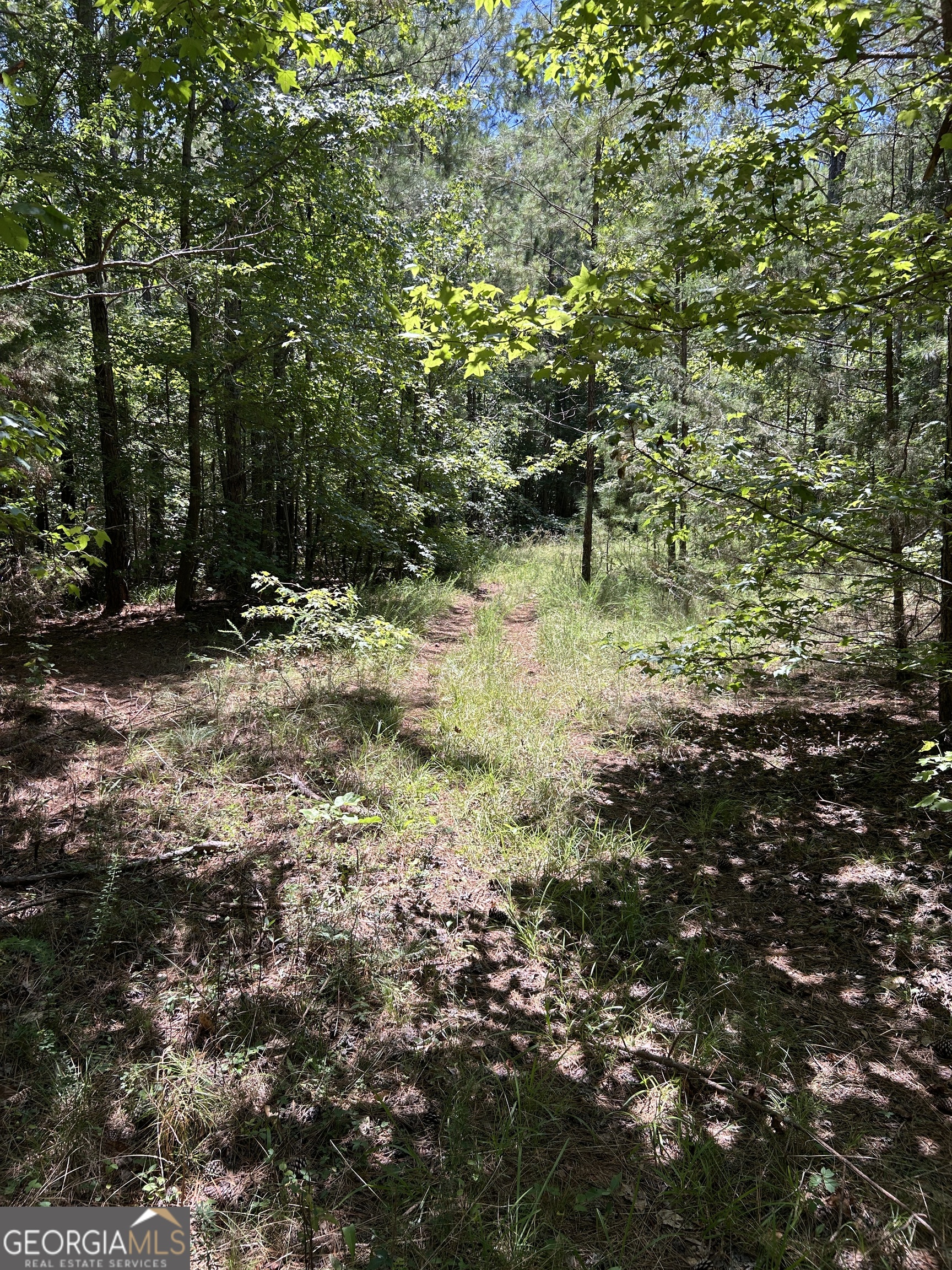 6556 Elberton Road Tignall, GA 30668 - Photo 39 of 68