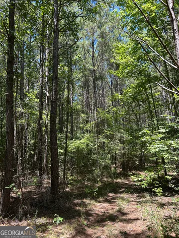 $200,000 | 6556 Elberton Road, Tignall, GA 30668