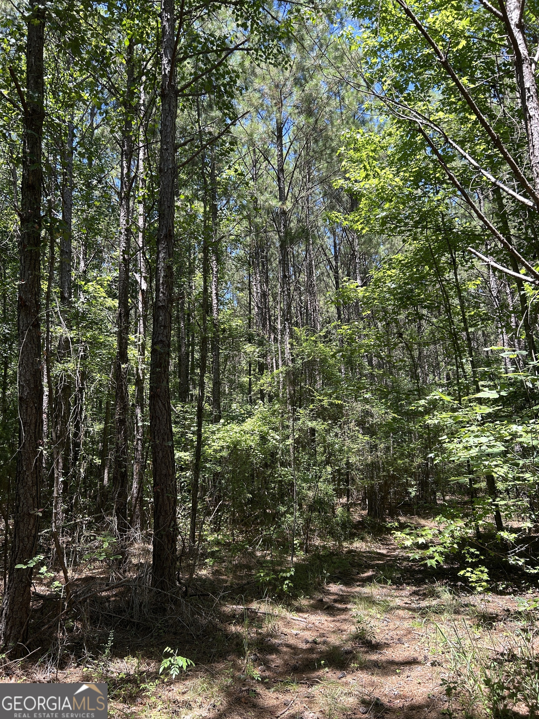 6556 Elberton Road Tignall, GA 30668 - Photo 40 of 68