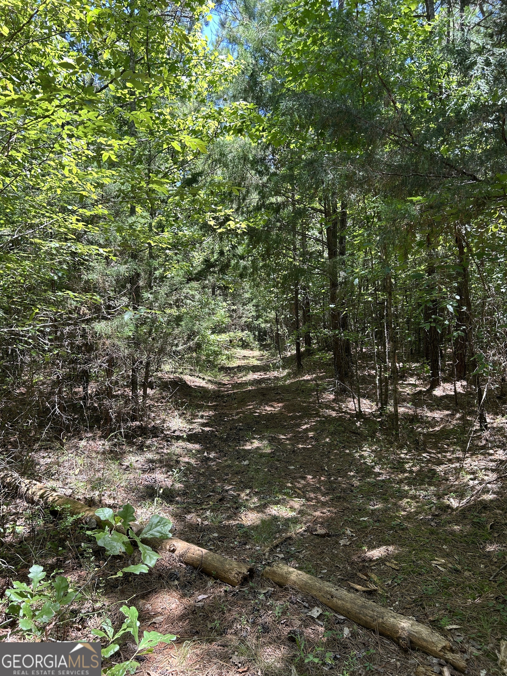 6556 Elberton Road Tignall, GA 30668 - Photo 41 of 68