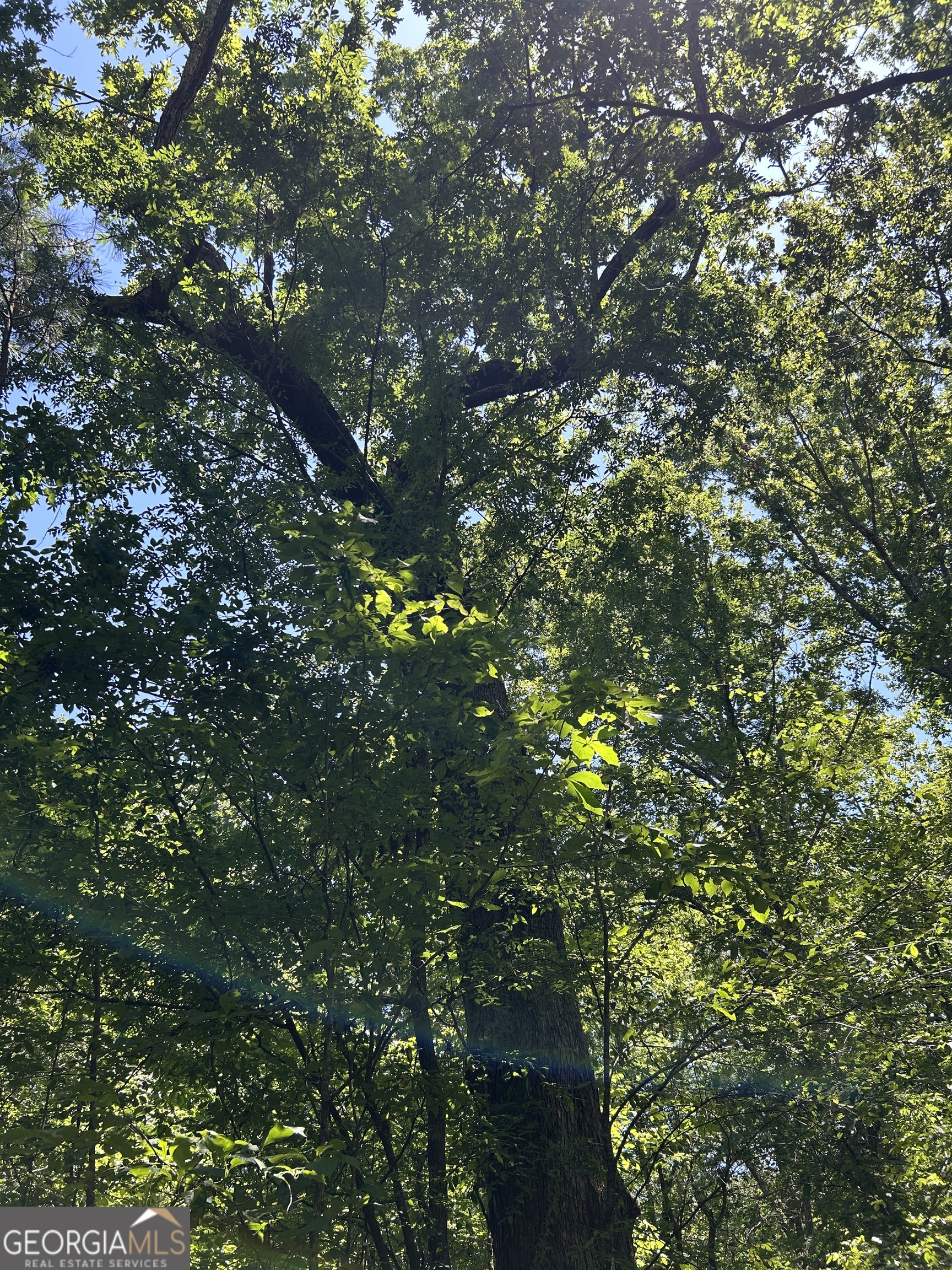 6556 Elberton Road Tignall, GA 30668 - Photo 43 of 68