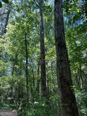 $200,000 | 6556 Elberton Road, Tignall, GA 30668