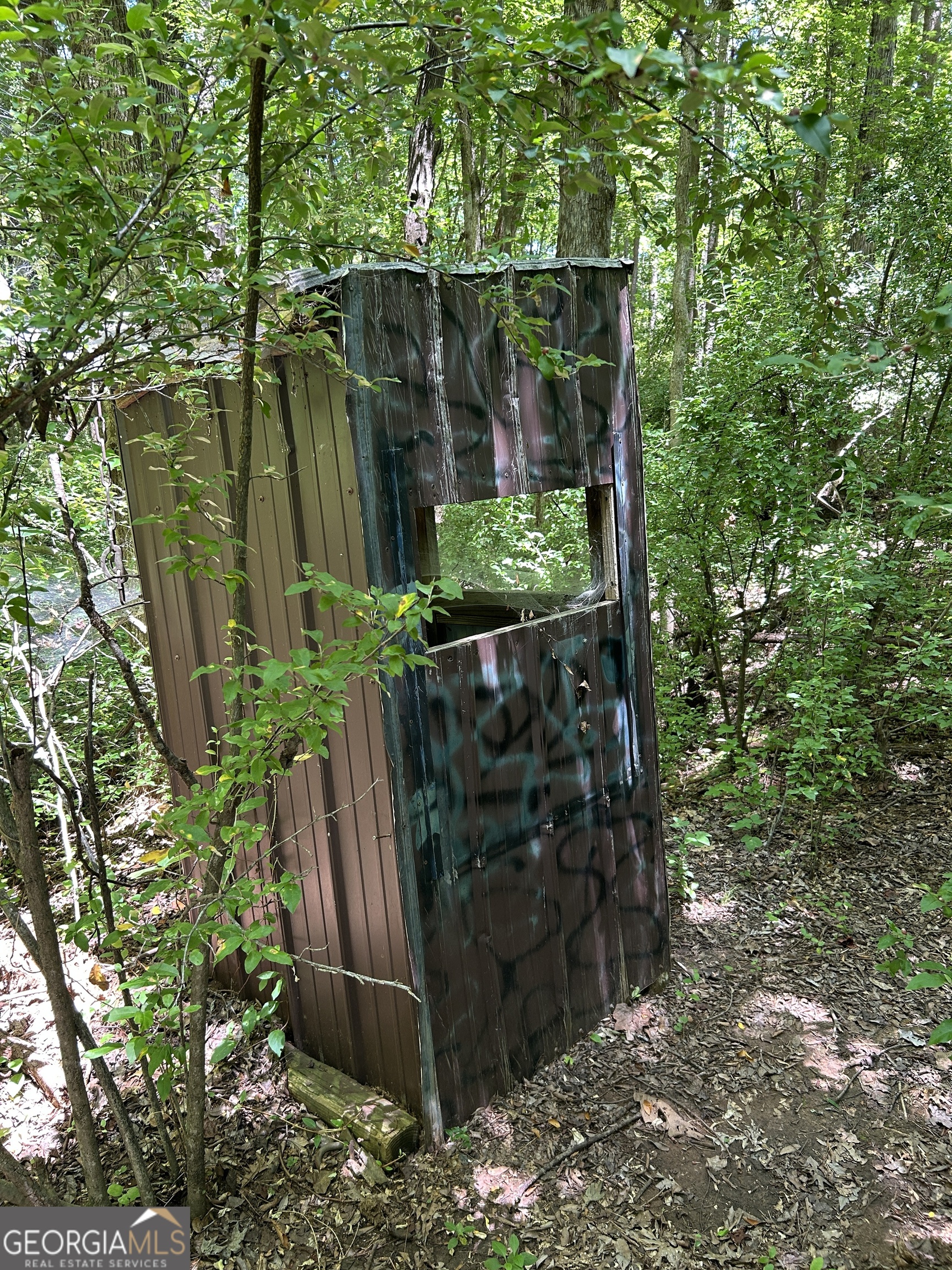 6556 Elberton Road Tignall, GA 30668 - Photo 45 of 68