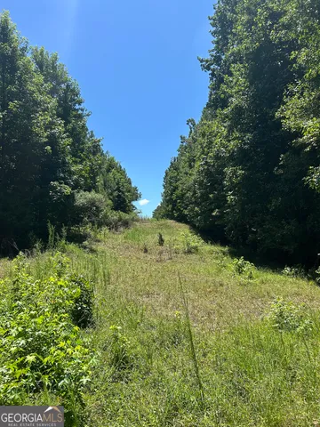 $200,000 | 6556 Elberton Road, Tignall, GA 30668