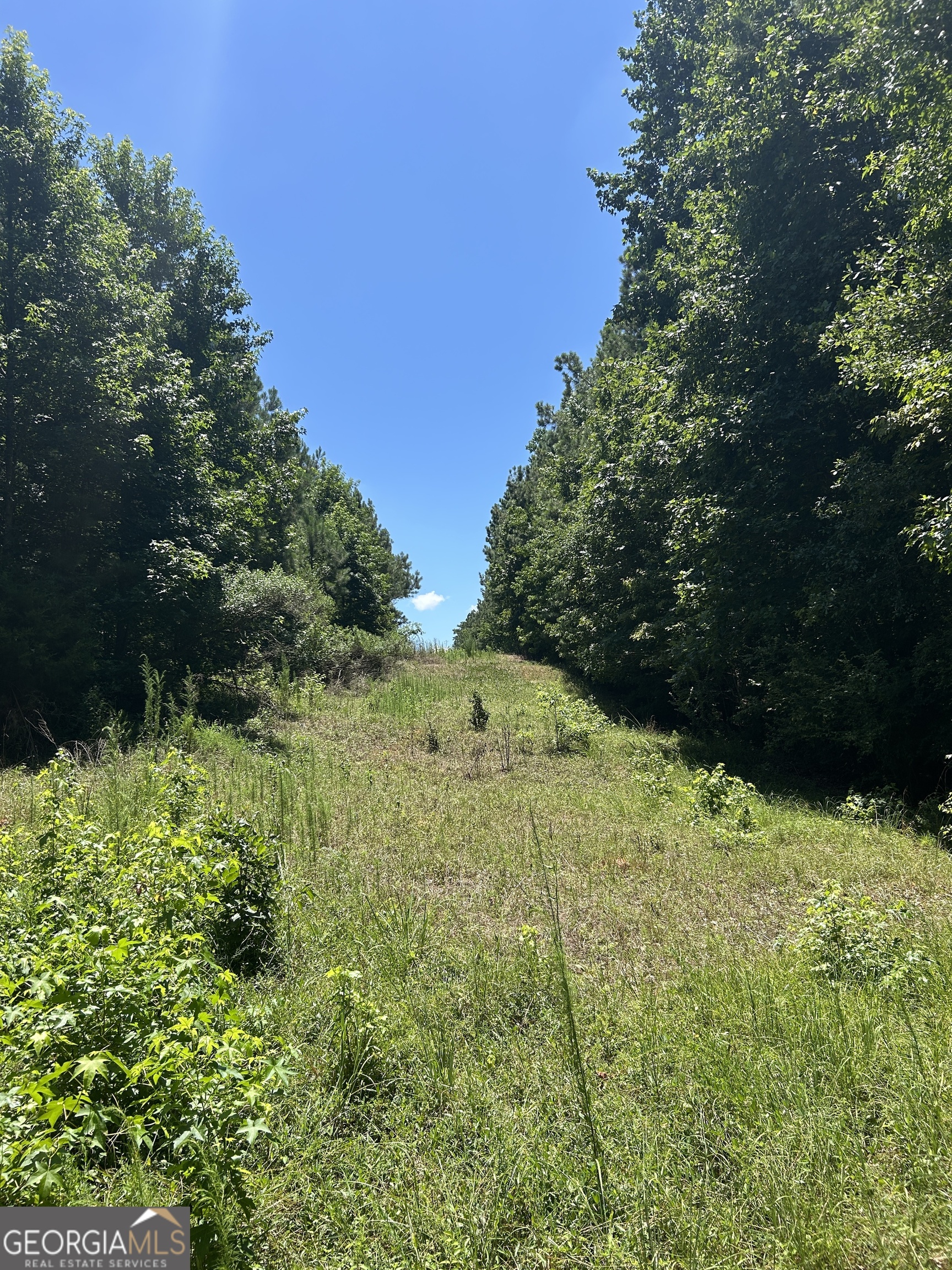 6556 Elberton Road Tignall, GA 30668 - Photo 46 of 68