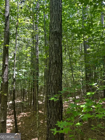 $200,000 | 6556 Elberton Road, Tignall, GA 30668