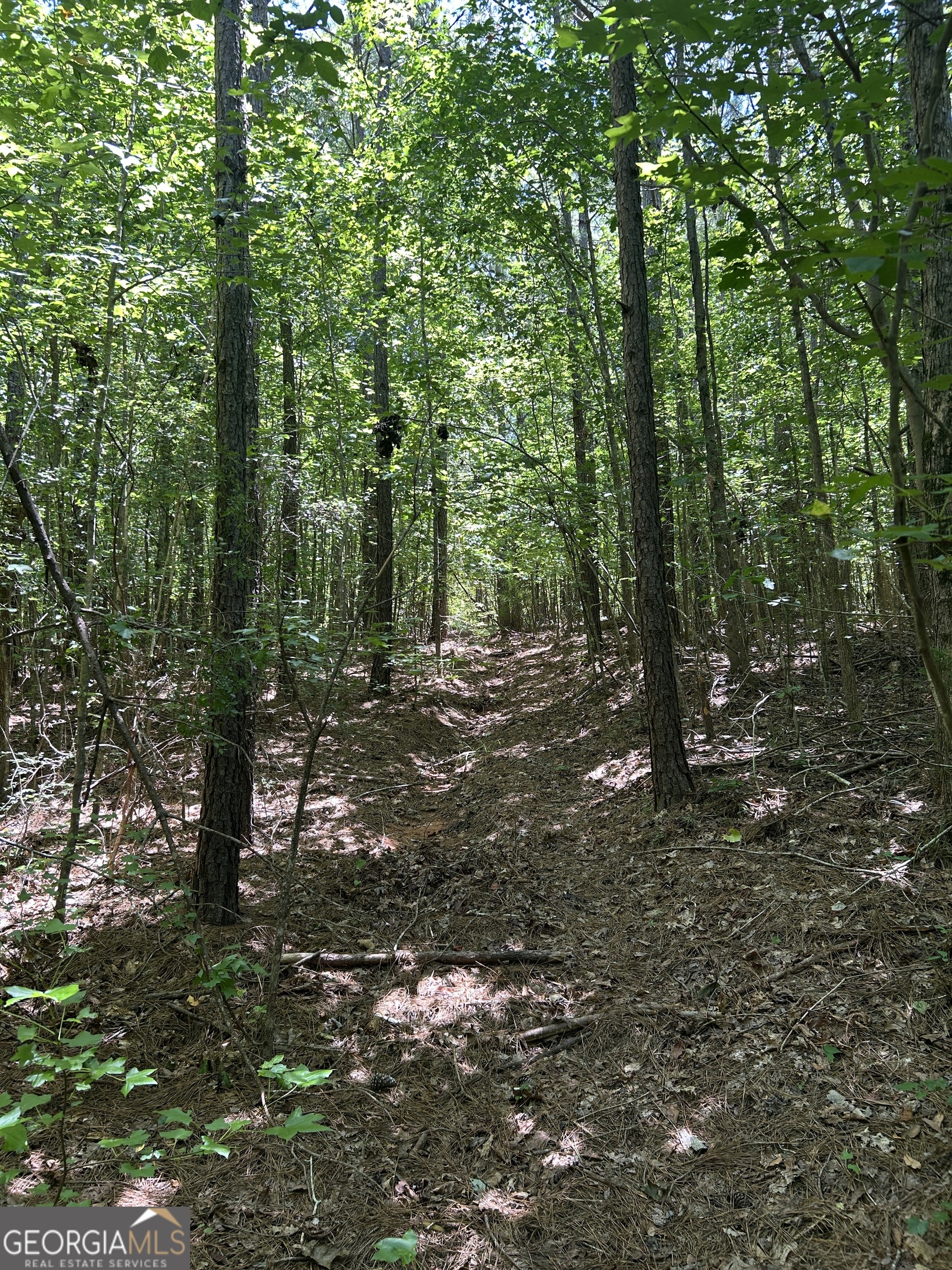 6556 Elberton Road Tignall, GA 30668 - Photo 48 of 68