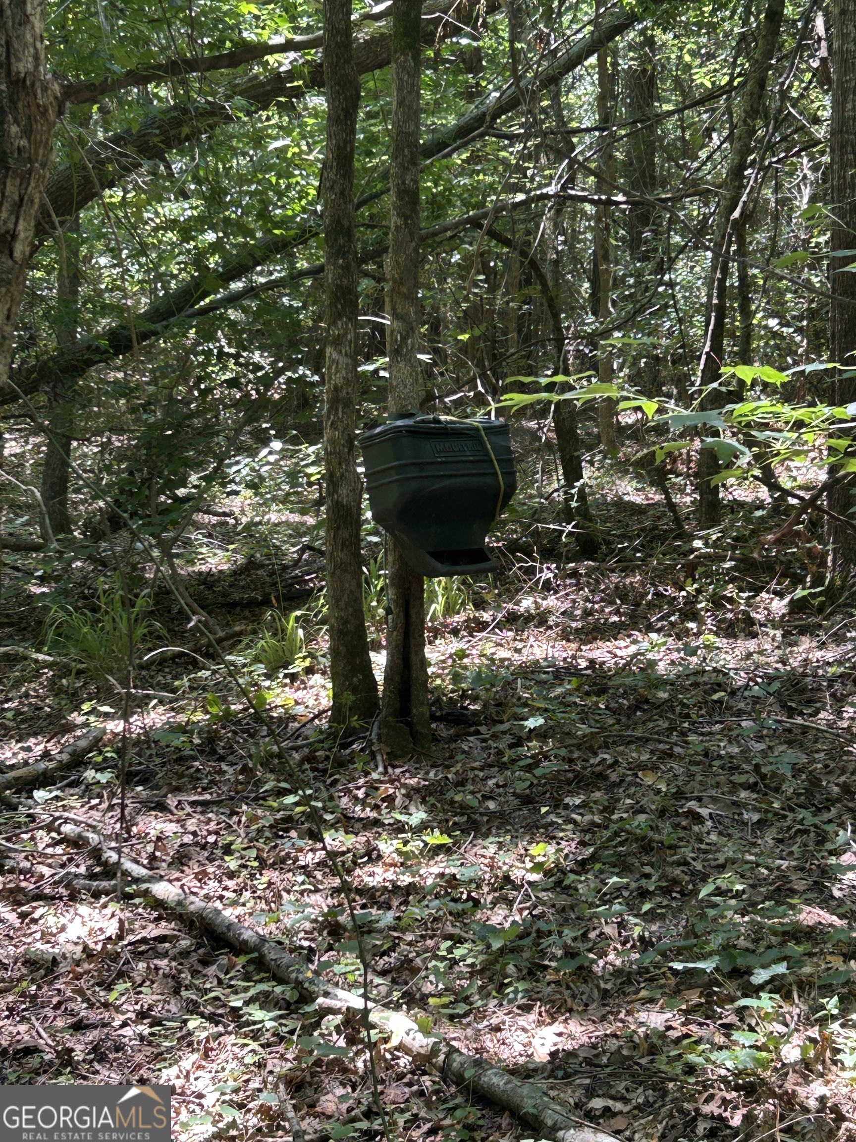 6556 Elberton Road Tignall, GA 30668 - Photo 49 of 68