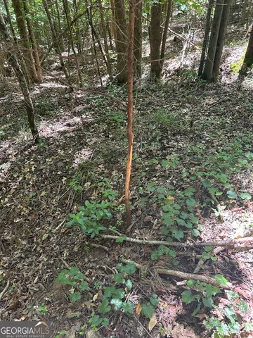 $200,000 | 6556 Elberton Road, Tignall, GA 30668