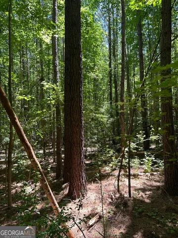 $200,000 | 6556 Elberton Road, Tignall, GA 30668