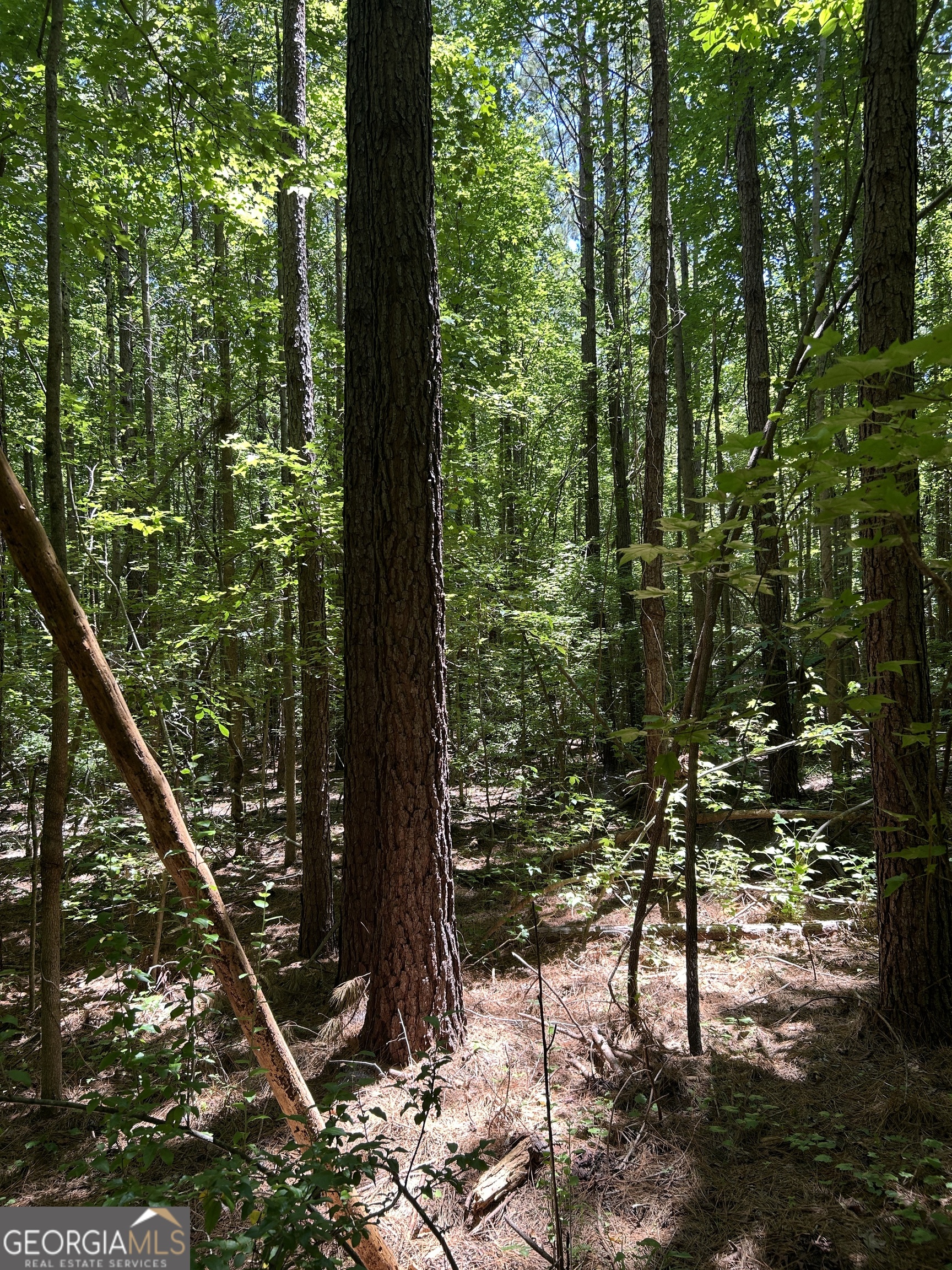 6556 Elberton Road Tignall, GA 30668 - Photo 51 of 68