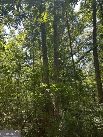 $200,000 | 6556 Elberton Road, Tignall, GA 30668