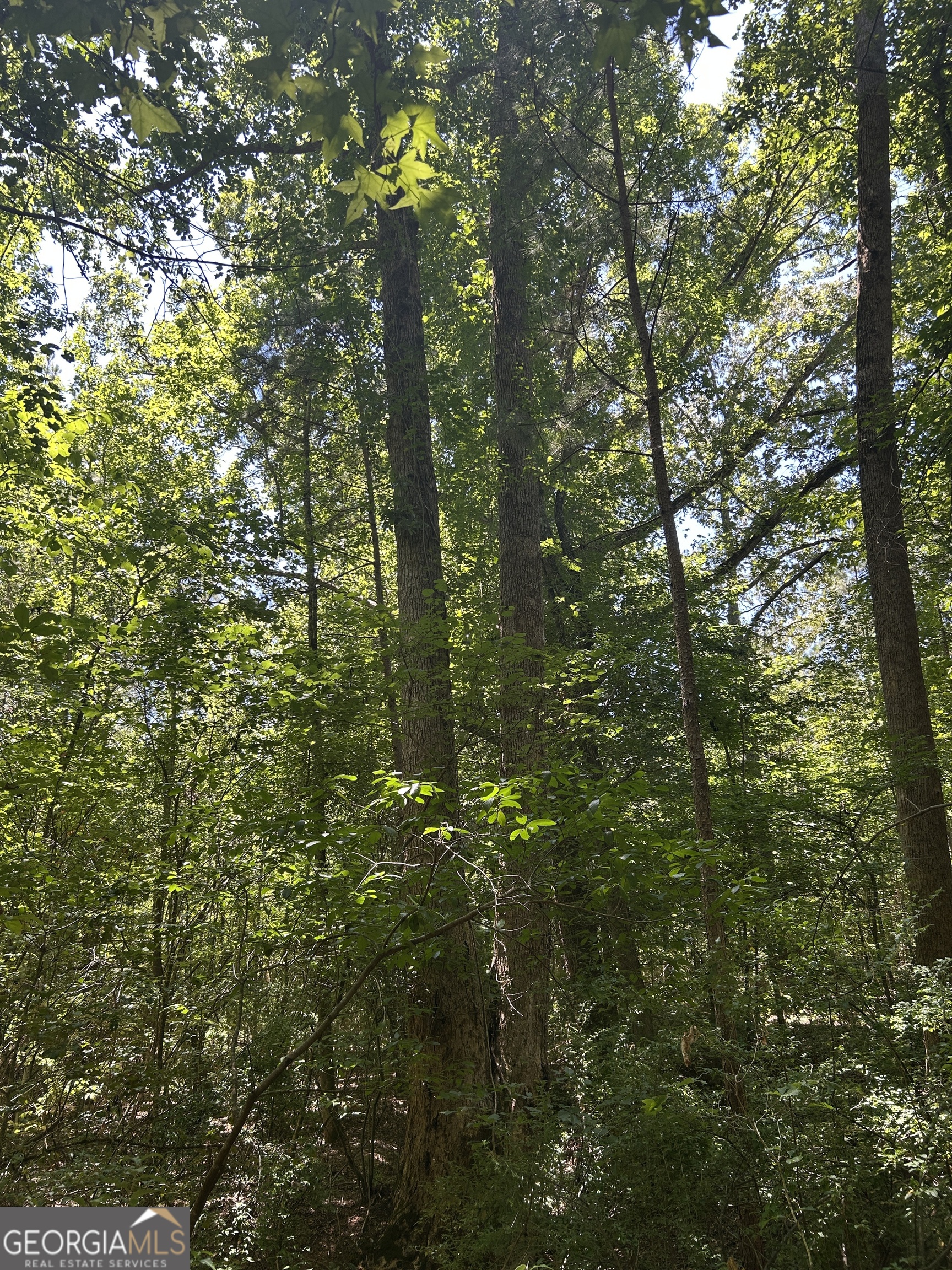 6556 Elberton Road Tignall, GA 30668 - Photo 52 of 68