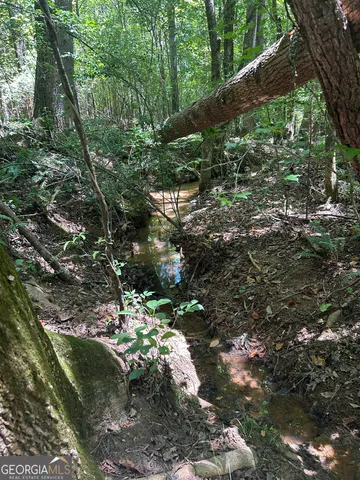 $200,000 | 6556 Elberton Road, Tignall, GA 30668