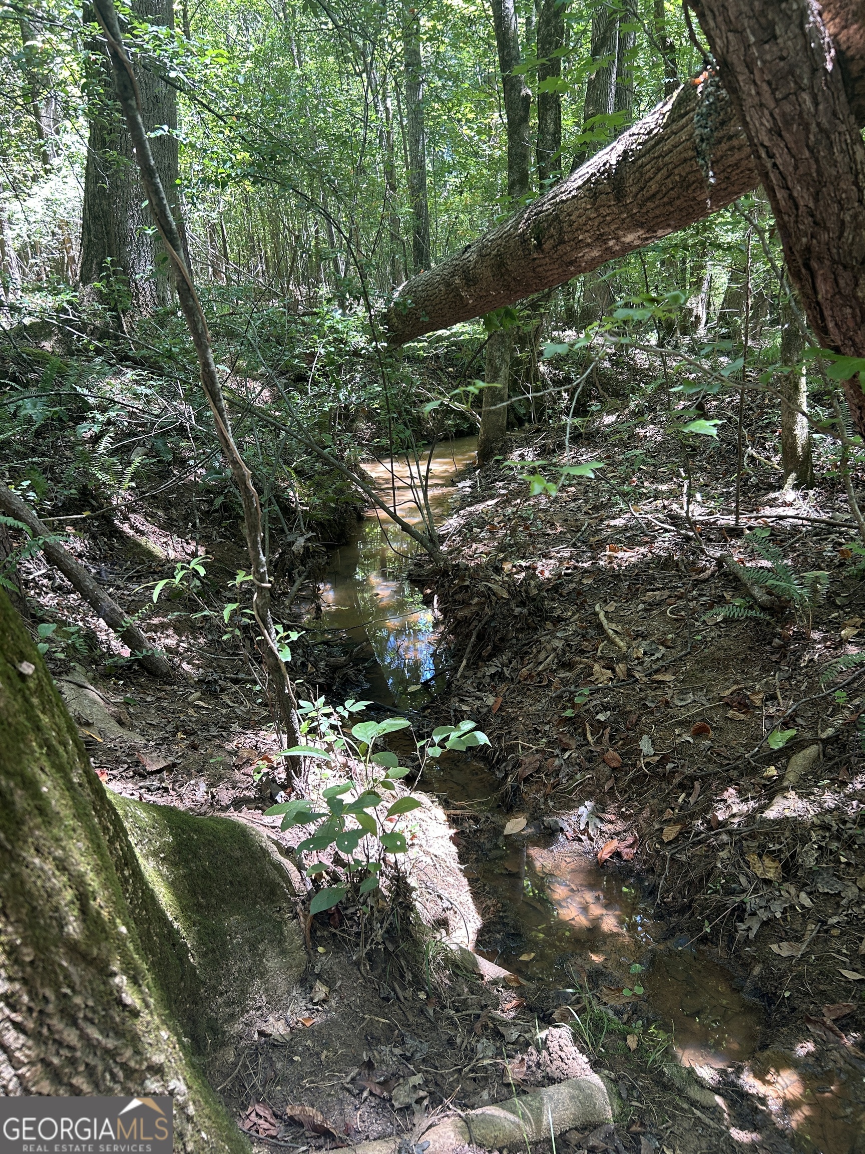 6556 Elberton Road Tignall, GA 30668 - Photo 53 of 68