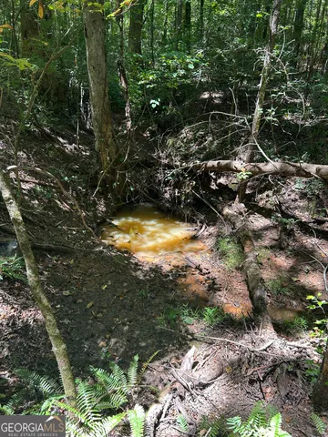 $200,000 | 6556 Elberton Road, Tignall, GA 30668