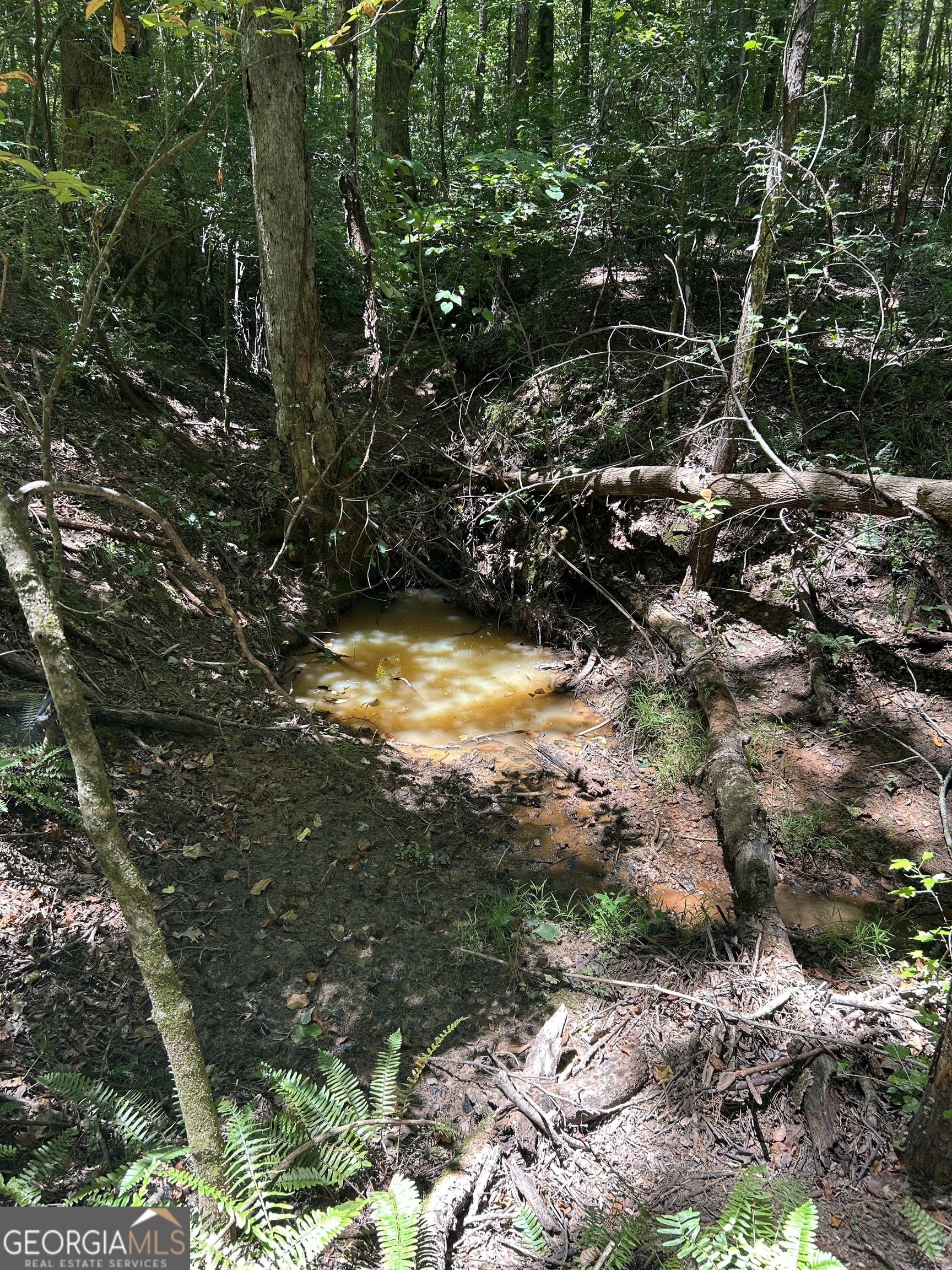 6556 Elberton Road Tignall, GA 30668 - Photo 54 of 68